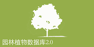 园林植物数据查询系统2.0